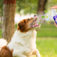 Combo para  amantes de mascotas  Ducha Portatil  + Cepillo para Pelo + Spray Bucal