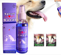 Combo para  amantes de mascotas  Ducha Portatil  + Cepillo para Pelo + Spray Bucal