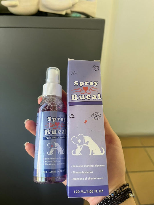 Combo para  amantes de mascotas  Ducha Portatil  + Cepillo para Pelo + Spray Bucal