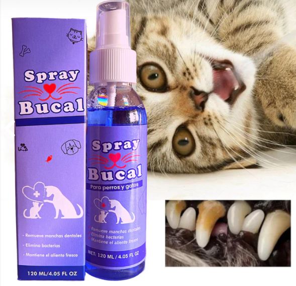 Combo para  amantes de mascotas  Ducha Portatil  + Cepillo para Pelo + Spray Bucal